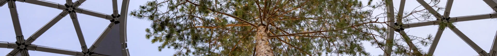 Decarbonizing Process Industries > Decarbonizing Building Blocks > Dassault Systèmes®