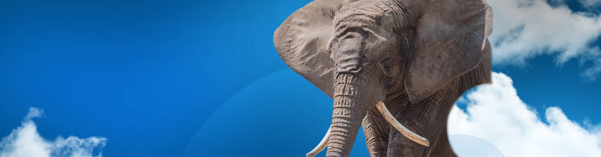 Blue sky with Clouds and an elephant > Administrator: Getting Started > SOLIDWORKS