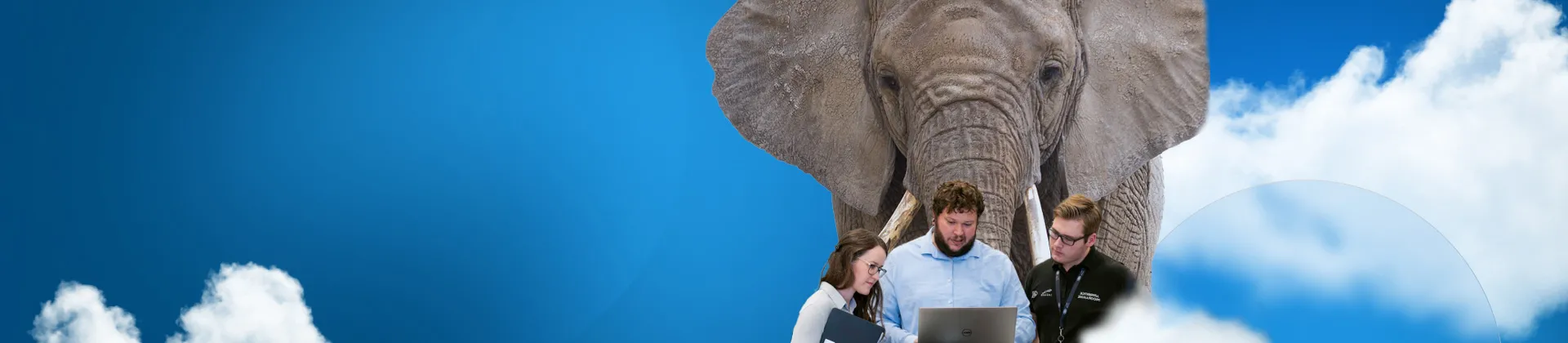 People working around laptop with large elephant - SOLIDWORKS