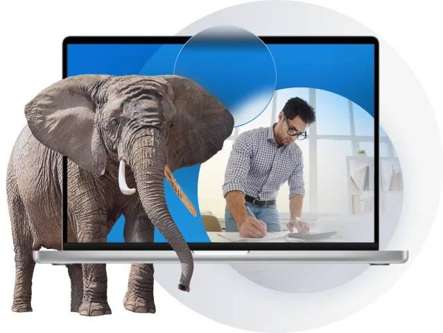 Why Share & Markup > Elephant in the Room > Dassault Systèmes®