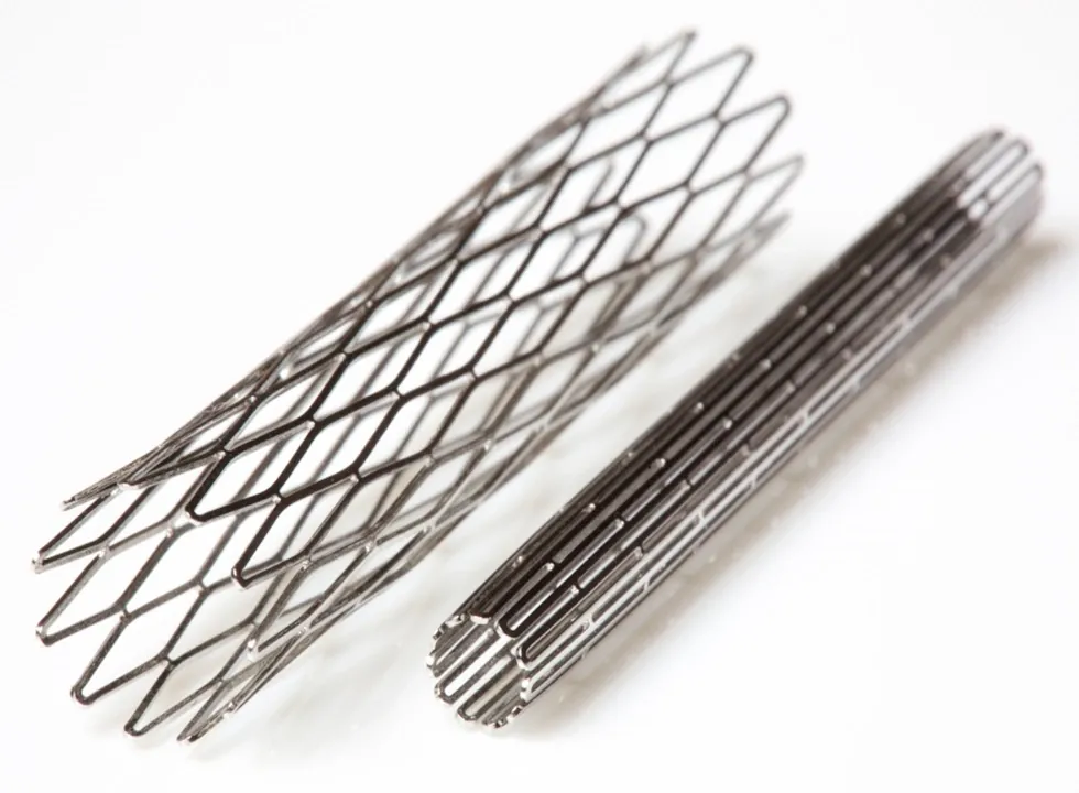 Stents & Cardiovascular Device > Dassault Systemes