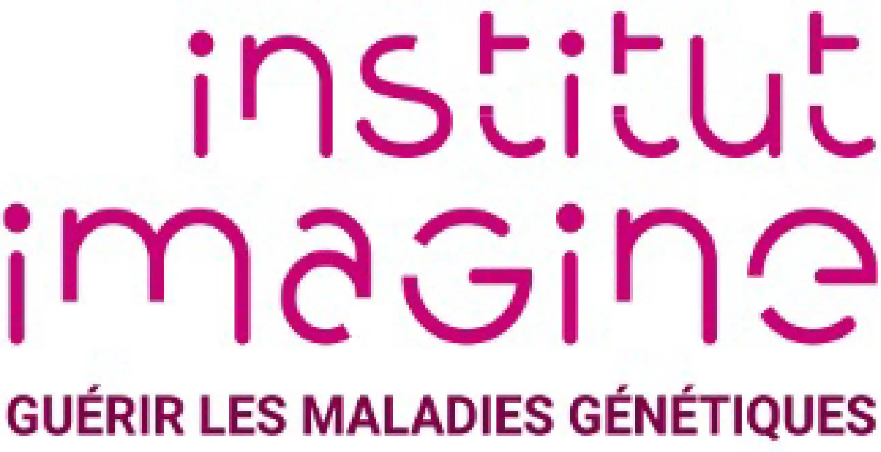 logo IHU Imagine