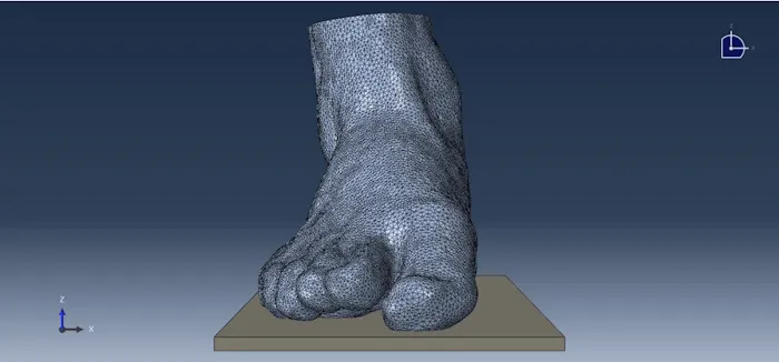 Digital Orthopaedics