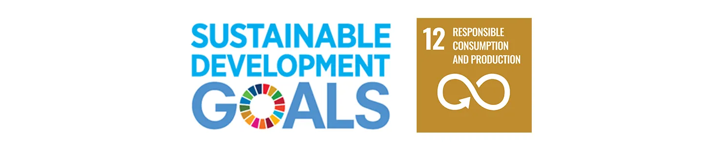 SDG 12