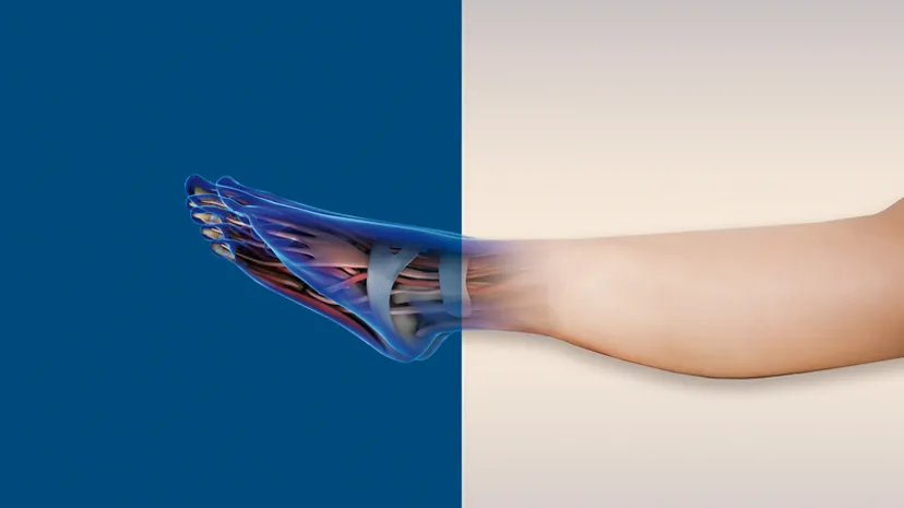 Digital Orthopaedics