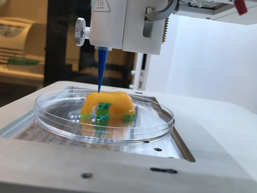 3D-printed aortic arch model displayed using Cellink bioprinting technology