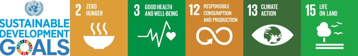 sdg-2-3-12-13-15