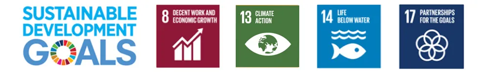 sdg-8-13-14-17