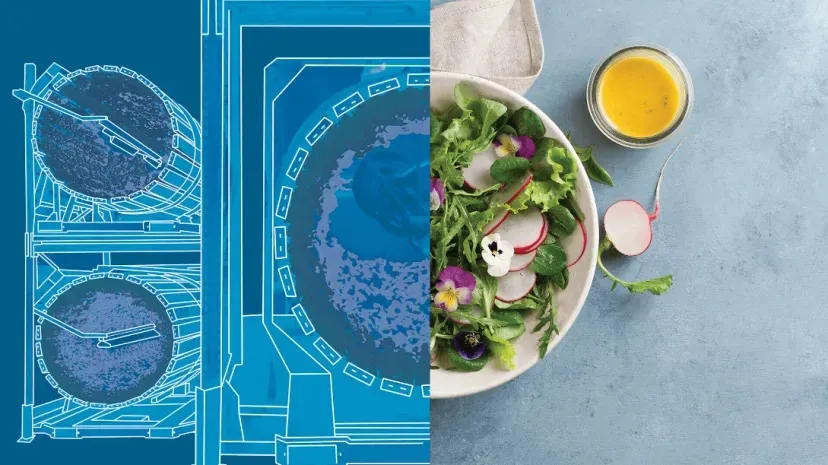 Futura Gaïa vertical farm with rotating crops in a controlled indoor environment using live-soil technology.