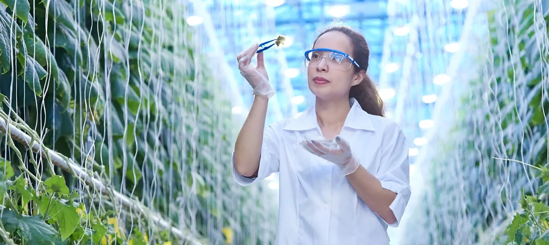 Race For Science-Driven Innovation > Dassault Systèmes® 