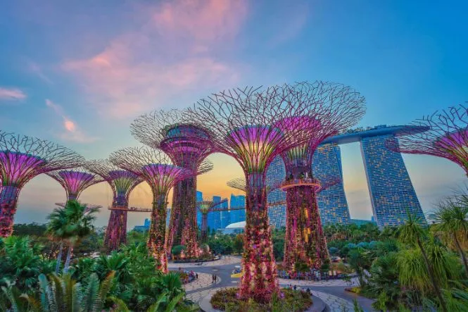 Illustration showing biomimicry-inspired engineering concepts integrated with natural ecosystems