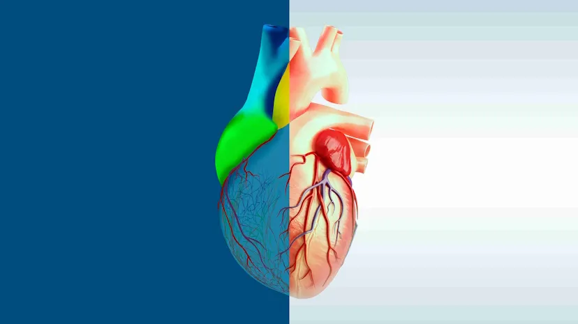 3DEXPERIENCE Lab’s Living Heart Project creates a realistic 3D digital human heart for research and healthcare innovation.