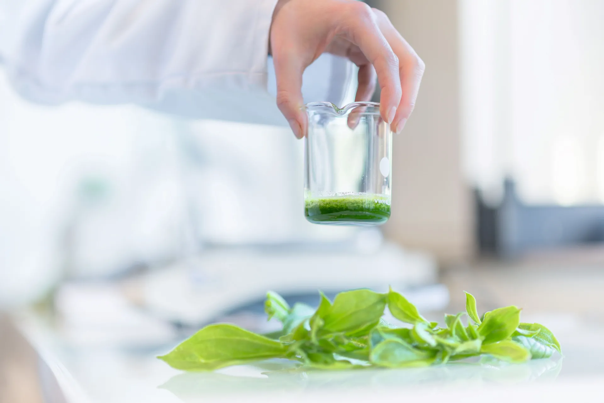 Groupe Rocher > Dassault Systèmes