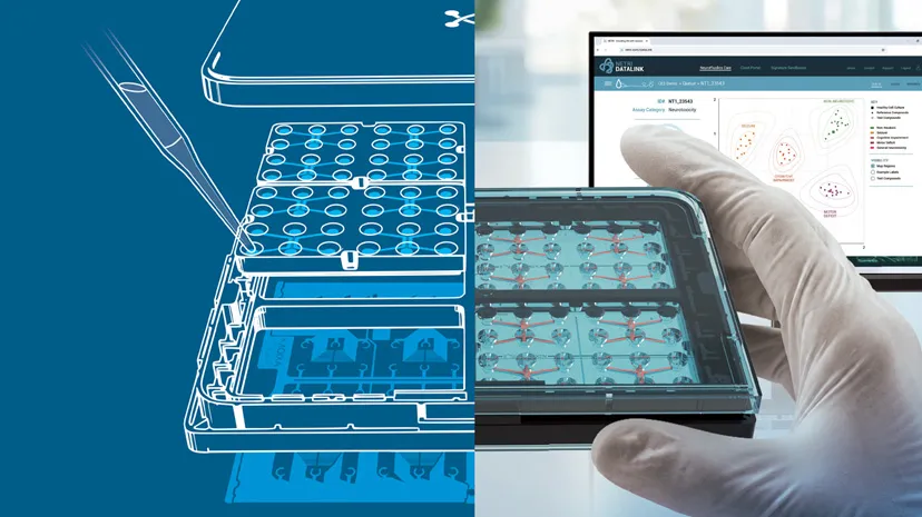 Netri biodigital sensor