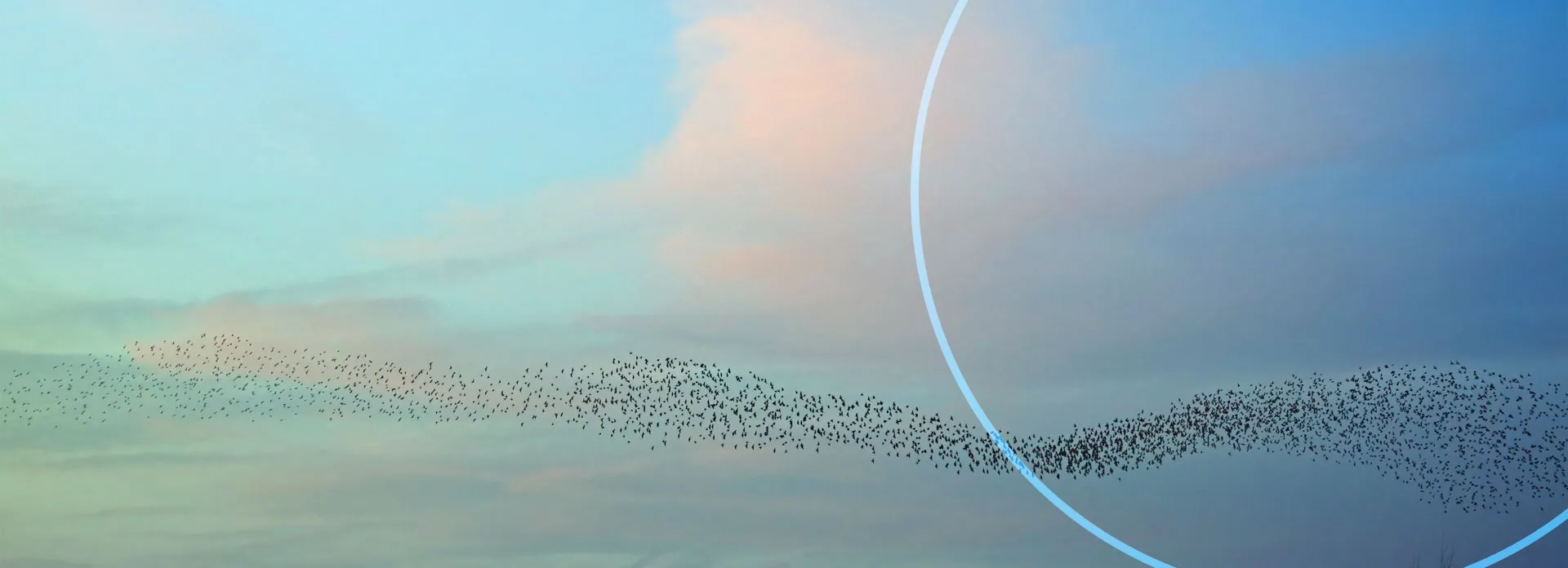 3DEXPERIENCE Resources > Dassault Systemes