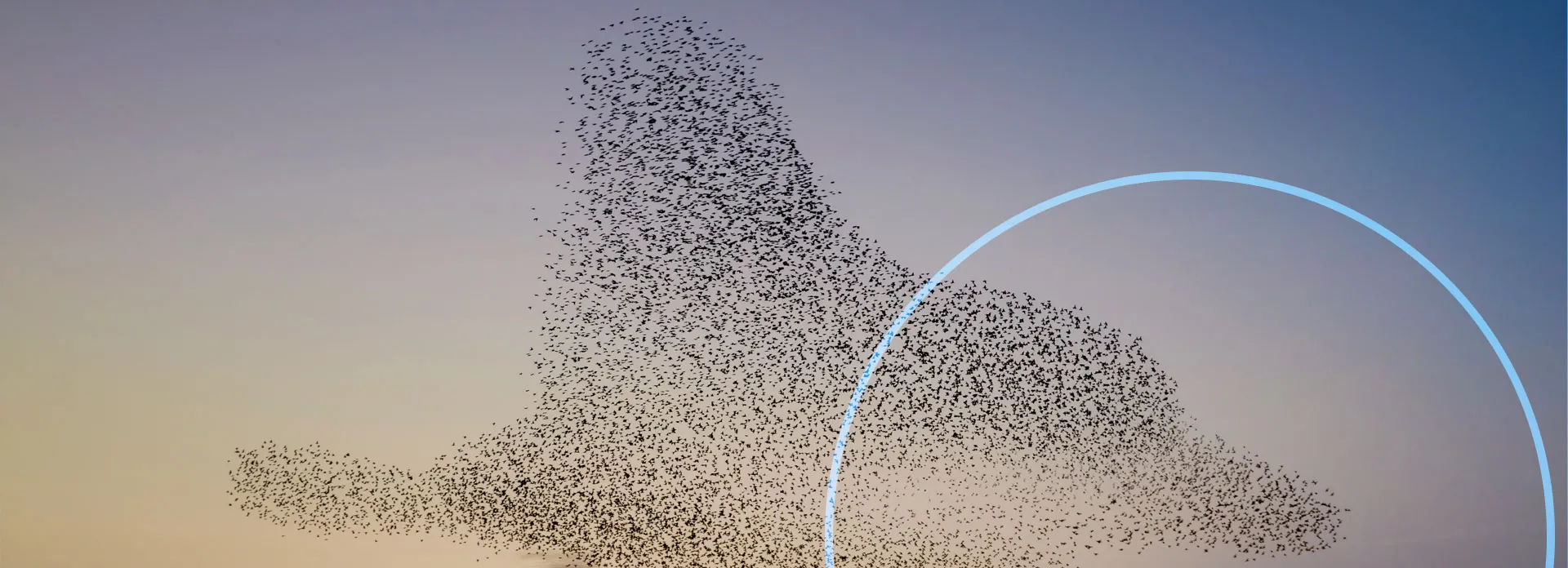3DEXPERIENCE Product Portfolio > Dassault Systemes