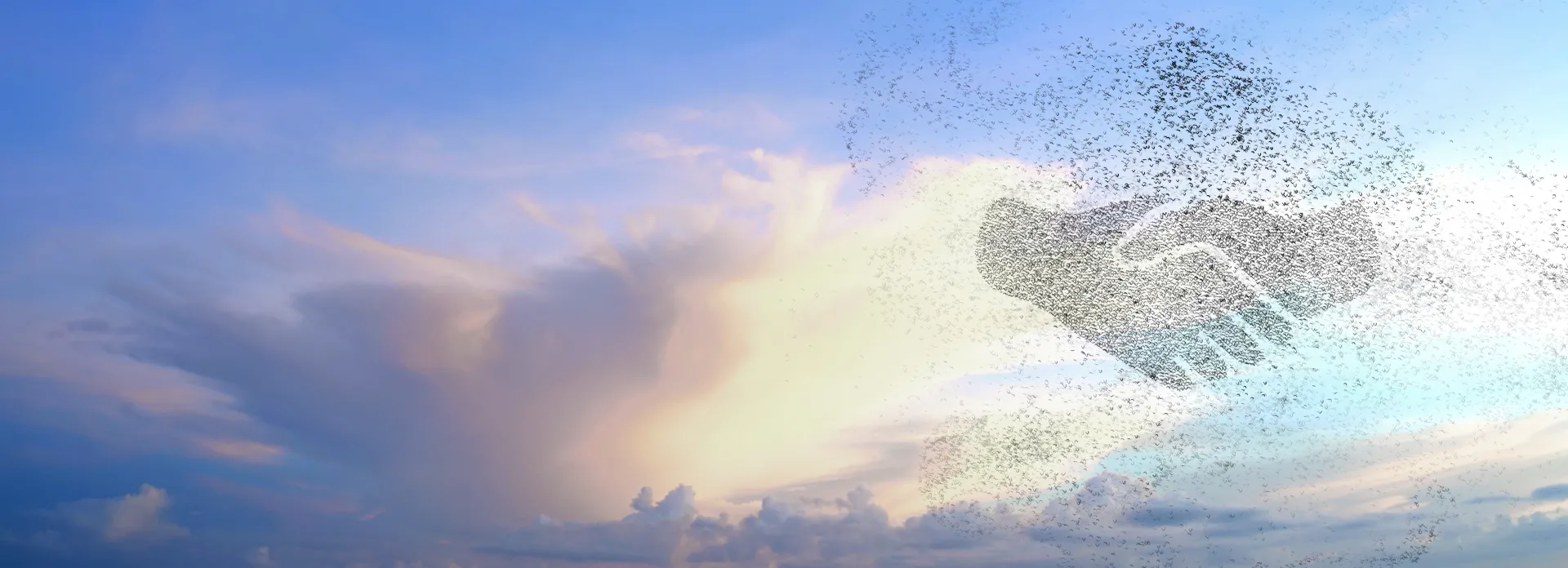 3DEXPERIENCE Collaborative Innovation > Dassault Systemes