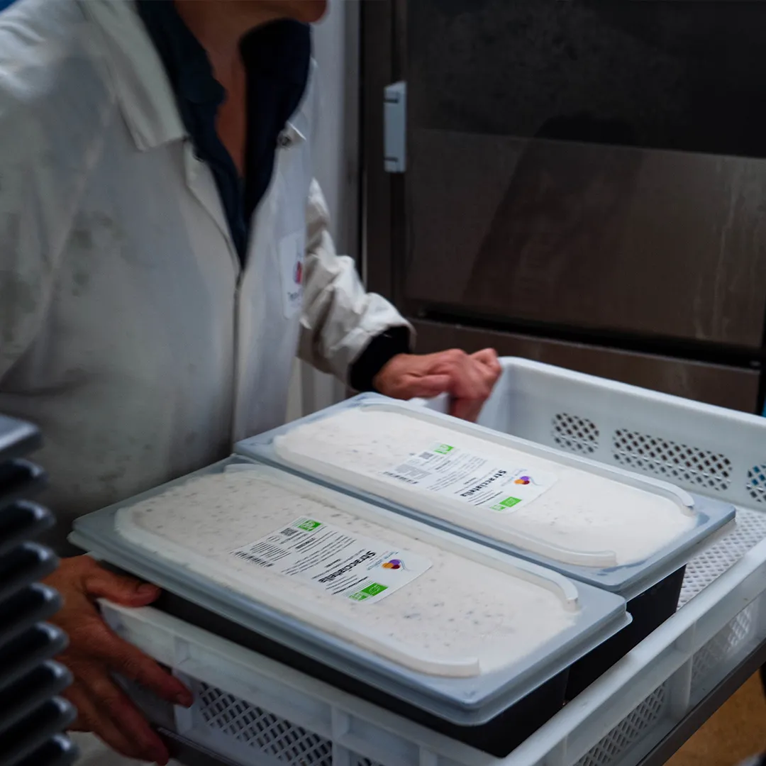 a French artisan ice cream maker