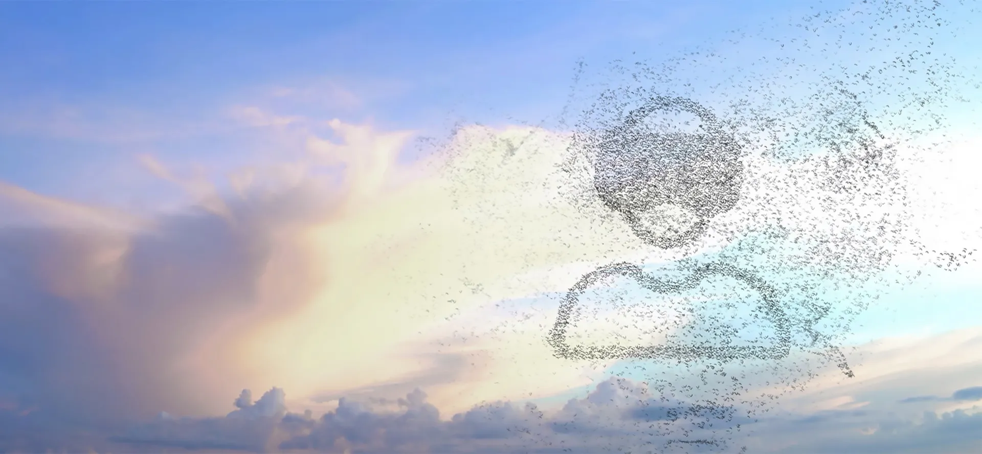 3DEXPERIENCE Sense Experience > Dassault Systemes