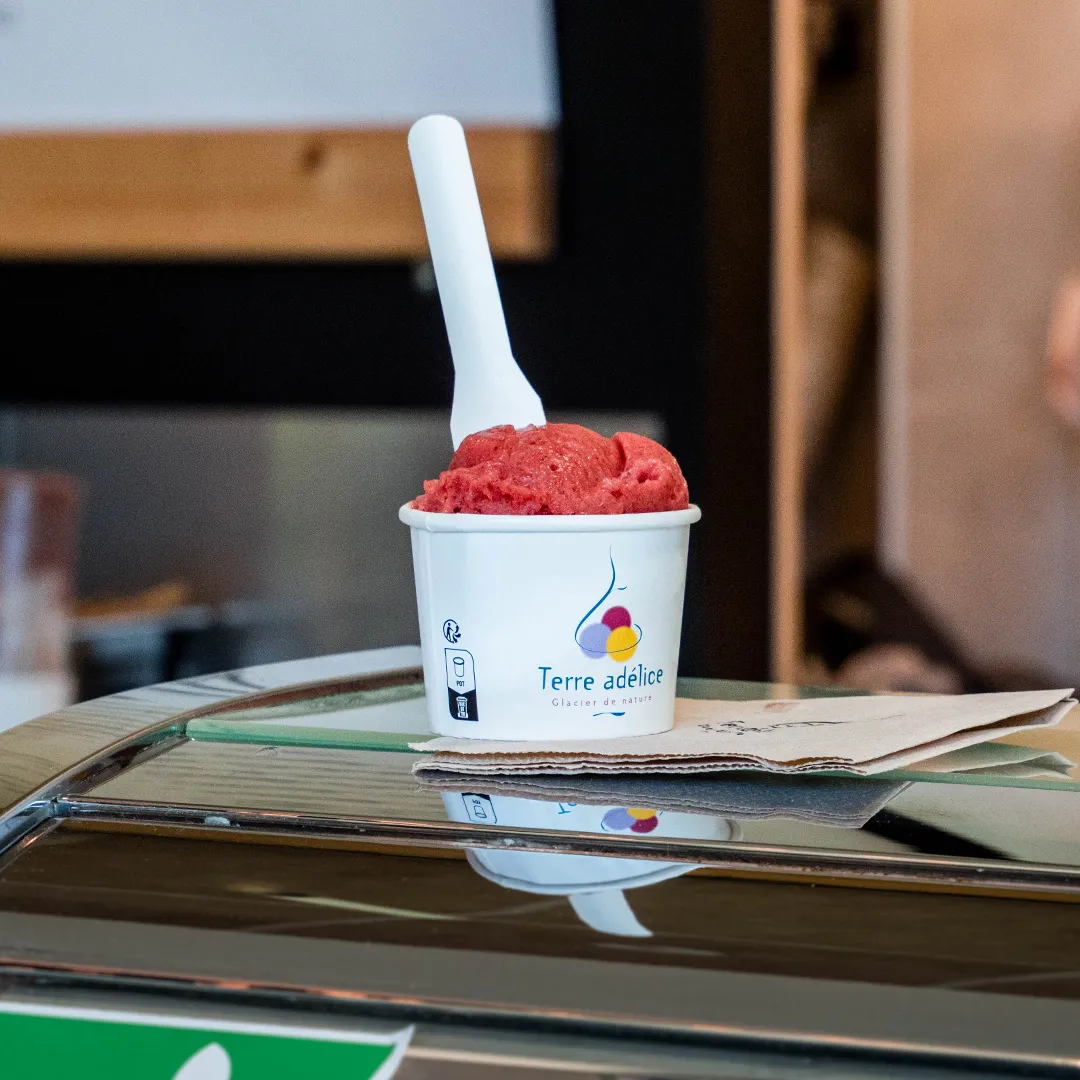Terre adélice handcrafts 100% organic ice creams