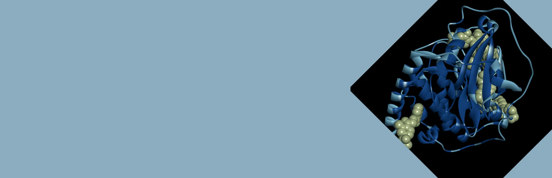 BIOVIA solutions for Education banner > Dassault Systèmes