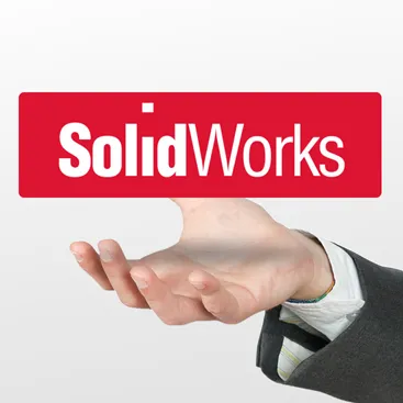 Formation of the Company's Professional channel