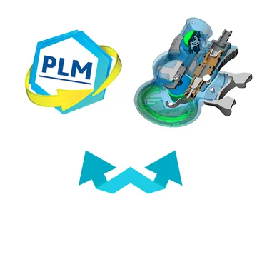 Organization of the Company into two business segments