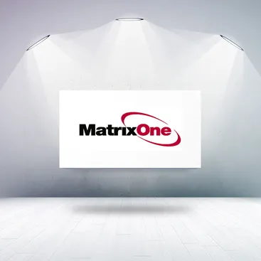 MatrixOne買収