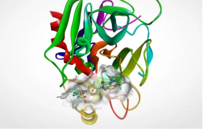 BIOVIA Acquisition > Dassault Systèmes