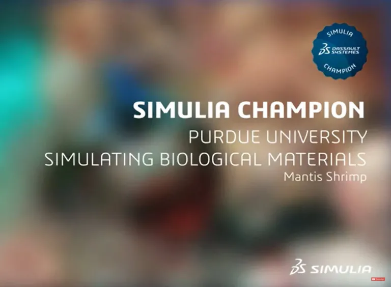 SIMULIA Champions 计划 > 达索系统