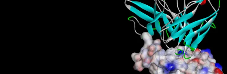 discovery studio macromolecules > 다쏘시스템