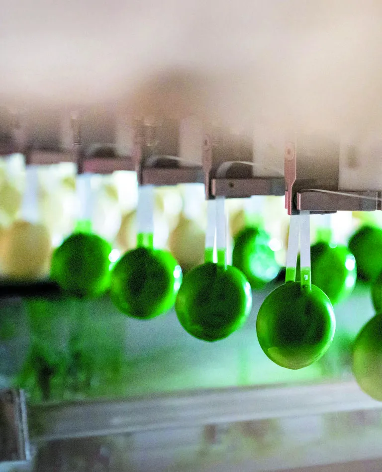Bel Group's mission is to impact the food industry > Dassault Systèmes positively