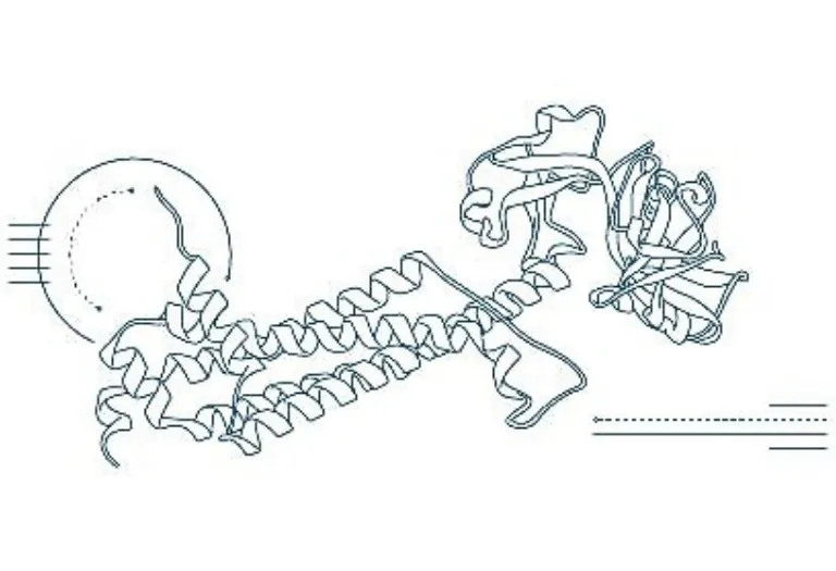 AI for all: OpenFold’s role in drug discovery > Dassault Systèmes 