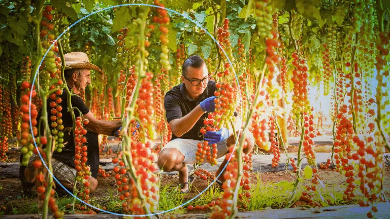 Beyond tools for restoring biodiversity > Dassault Systèmes