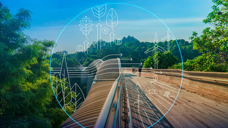 Technology and Biodiversity