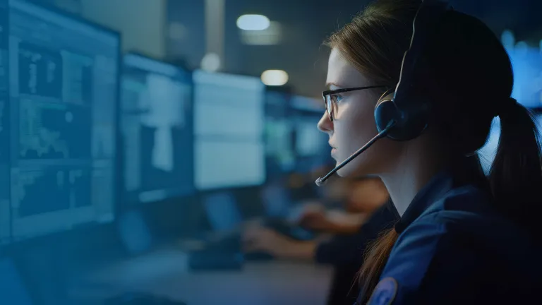 Customer support agent using BPM software to balance automation and personalized service.