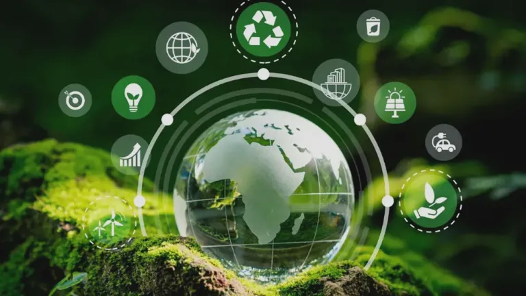 Sustainability is impacted by product lifecycle