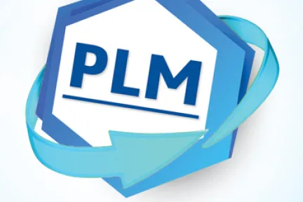 Creazione del canale di vendita PLM Value Solutions della Società
