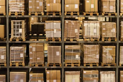 Outsource Inventory Management Software from DELMIAWorks