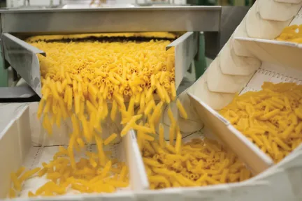 Food & Beverage Manufacturing ERP Software | DELMIAWorks