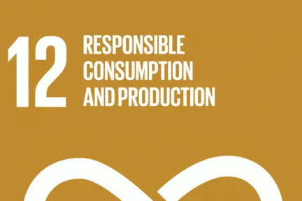 consumption-goal-12 Dassault Systemes