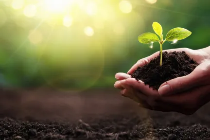 Sustainable Procurement
