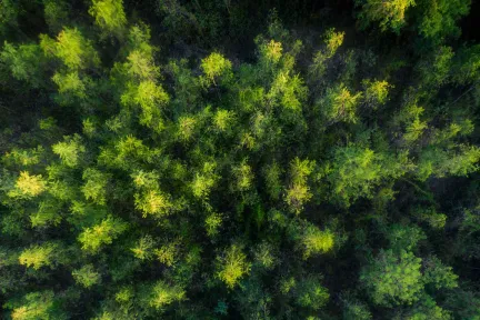 Consumer Packaged Goods & Retail Resource Center