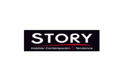 Story logo > HomeByMe Enterprise > Dassault Systemes