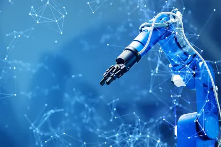 A Robot Provider's Digital Journey: An Expert's Point of View