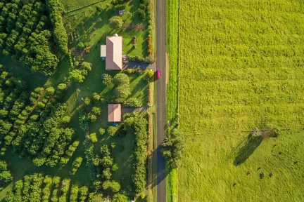 How Can Virtual Twins Accelerate Sustainable Consumption? ‍
