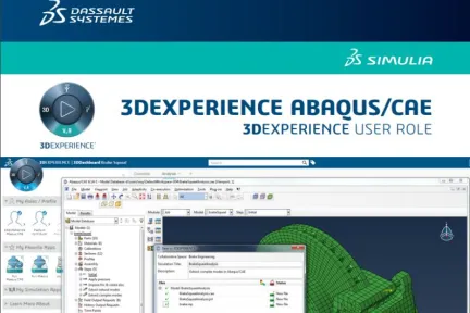 3DEXPERIENCE ABAQUSCAE - 3DEXPERIENCE USER ROLE