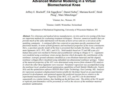 Advanced Material Modeling in a Virtual Biomechanical Knee