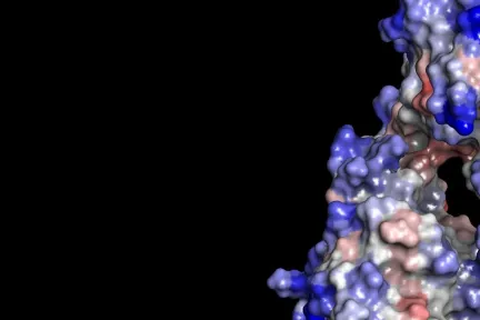 antibody solubility modeling > Dassault systemes