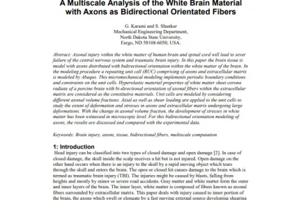 A Multiscale Analysis of the White Brain Material with Axons as Bidirectional Orientated Fibers